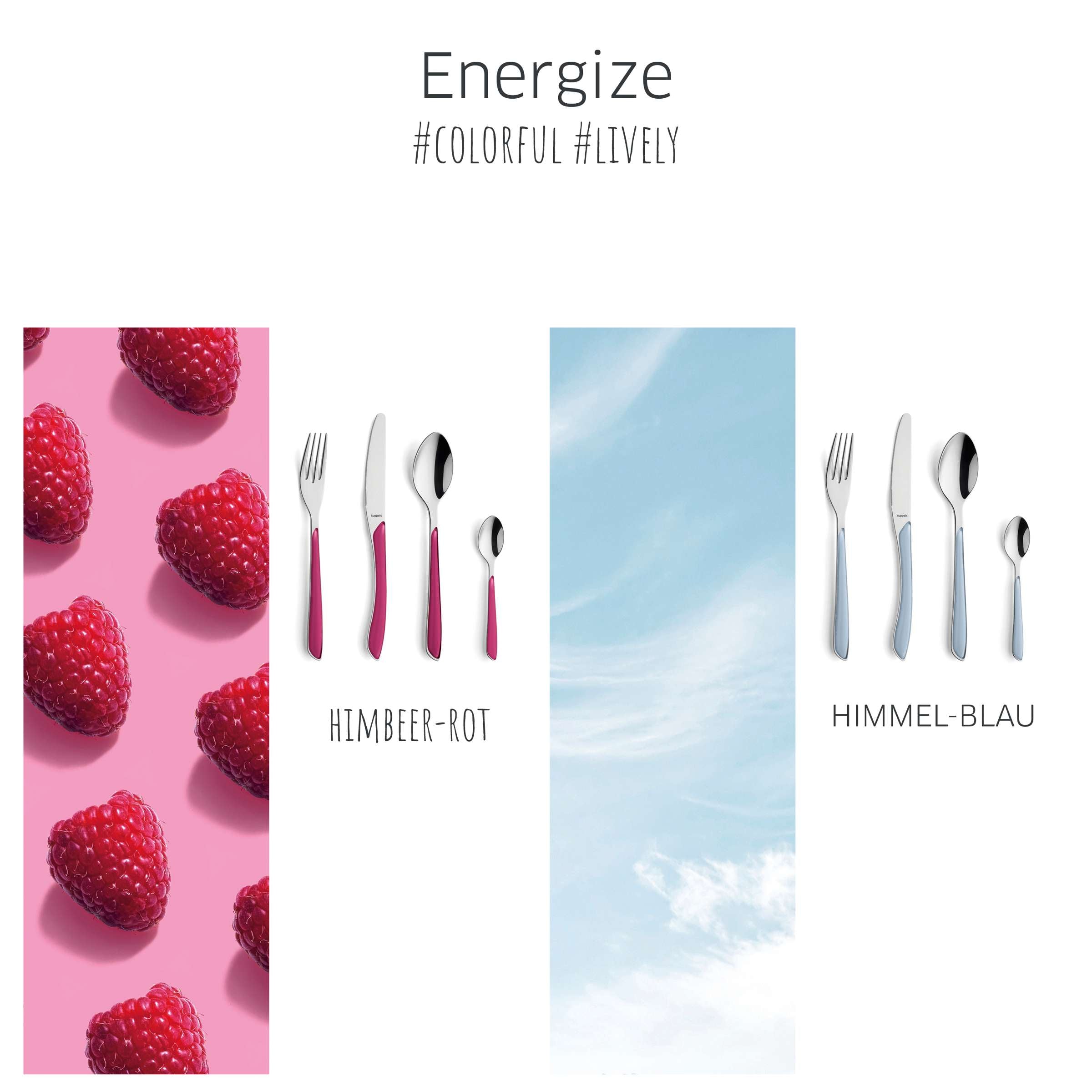 PRISMA Kuchengabel Set 6-teilig himbeerrot