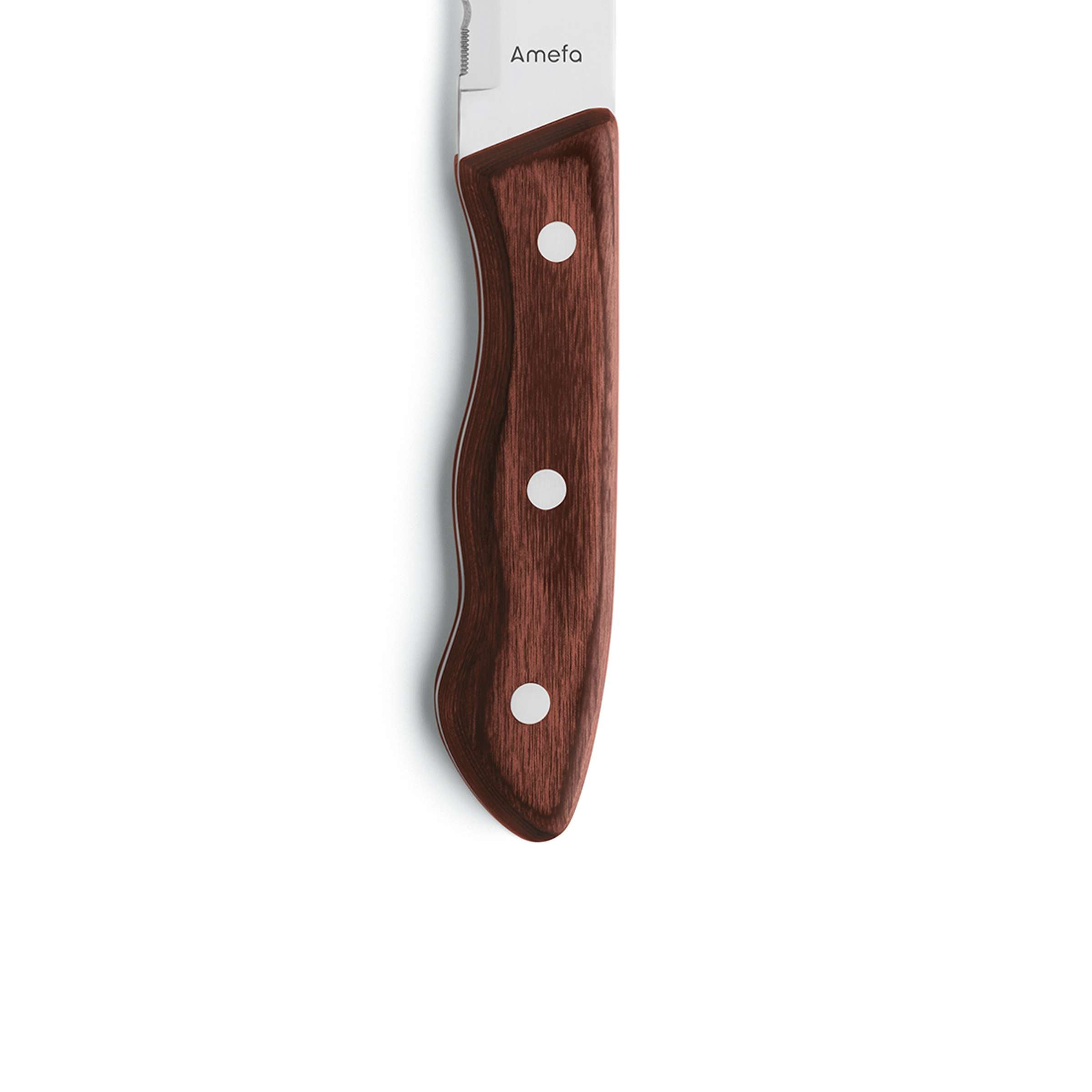 HERCULE Steakmesser Set 4-teilig kastanie