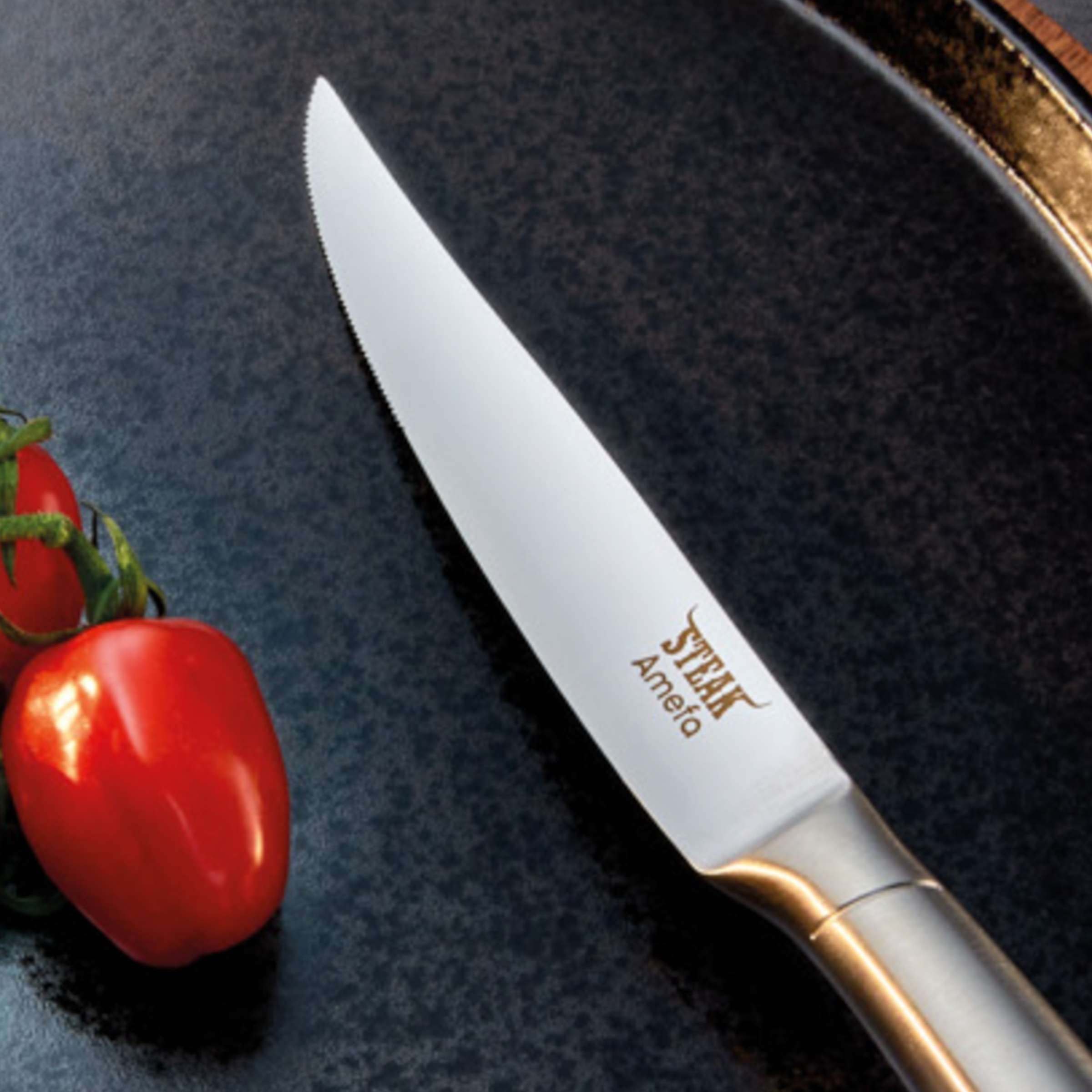 PRIME RIB Steakmesser Vollheft